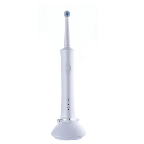 カスタマイズ可能な OEM & ODM 丸型歯ブラシヘッド Ipx7 防水電動回転歯ブラシ